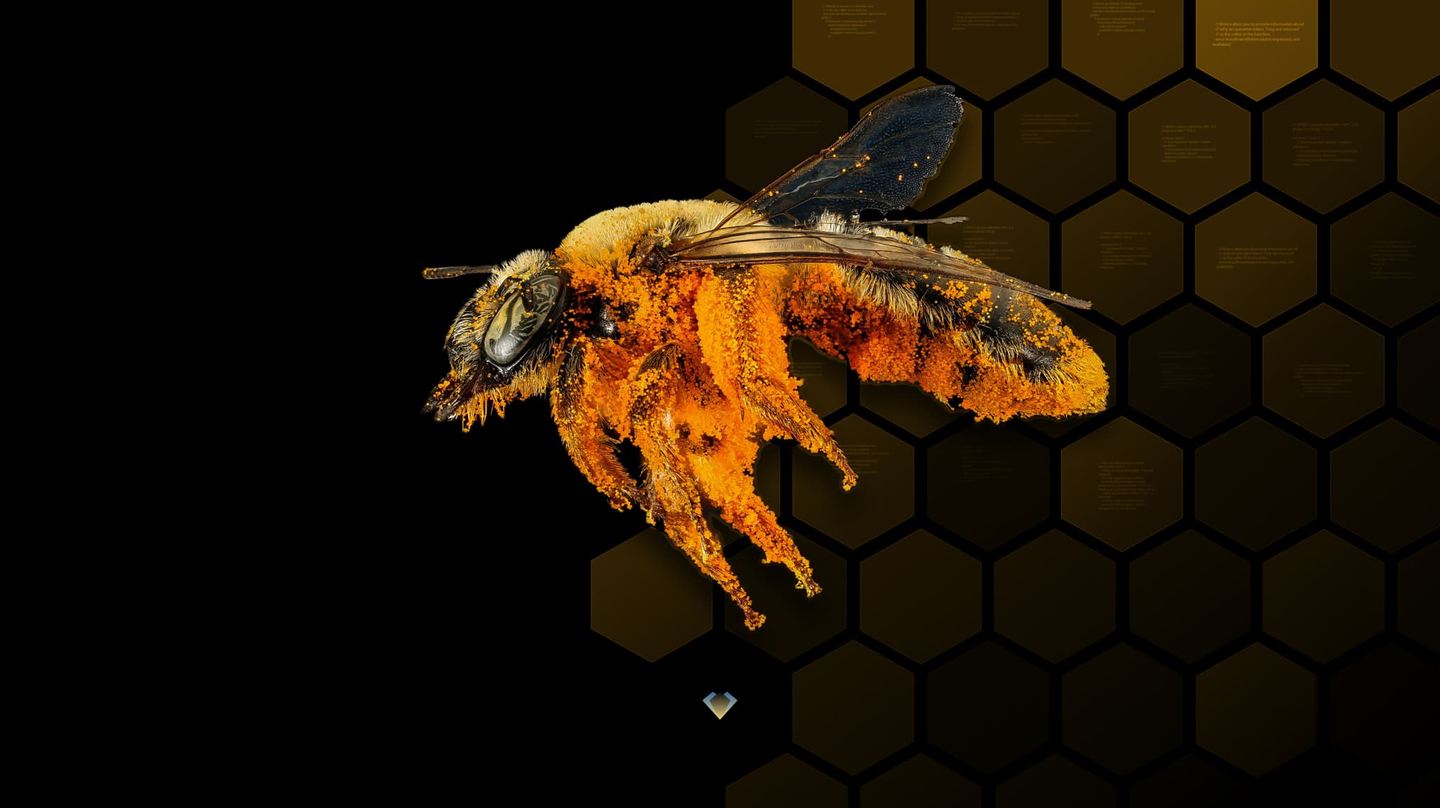 Bee in front of a dark honeycomb pattern, illustrating crypto honeypots used against hackers